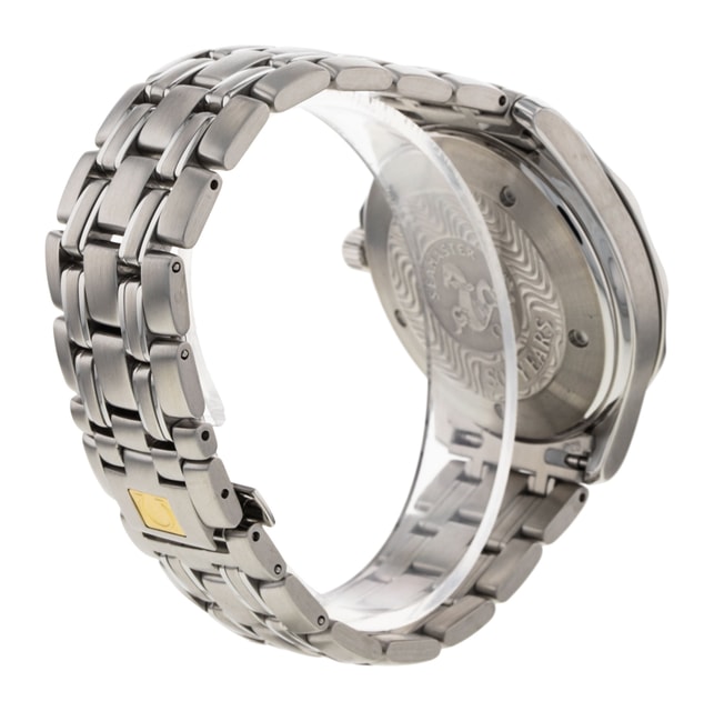 Omega Seamaster GMT 2534.50.00 Image 3